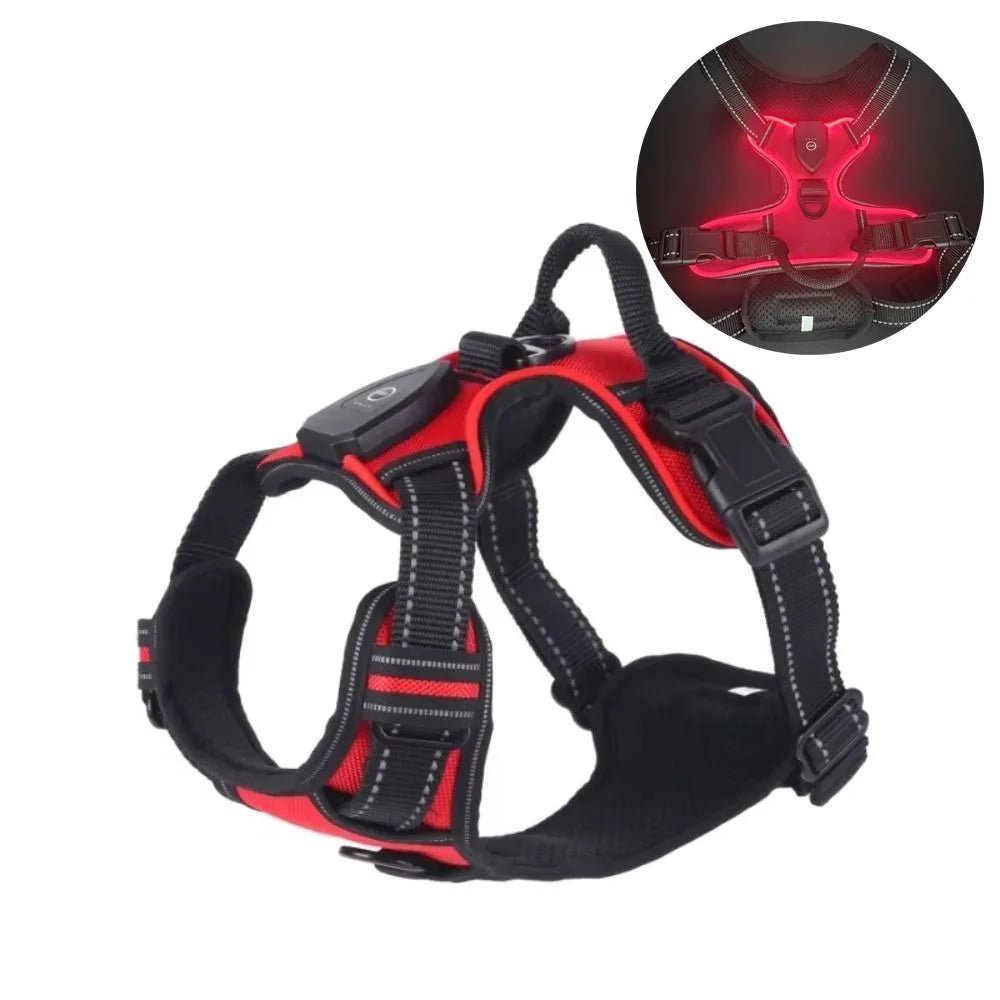 Red Pawvero LED dog harness with reflective stitching and illuminated night mode inset.