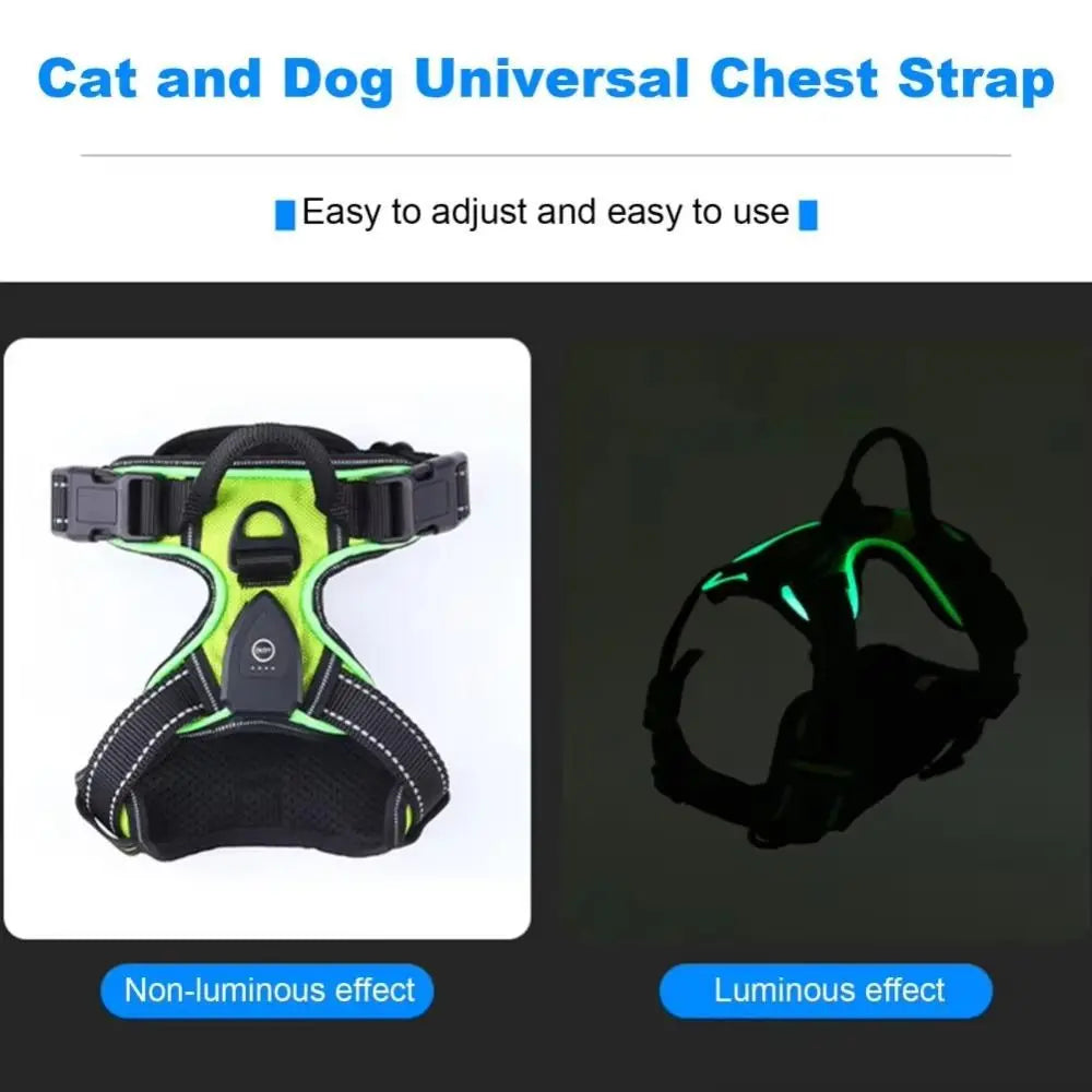Pawvero cat and dog universal chest strap harness with non-luminous and luminous effects