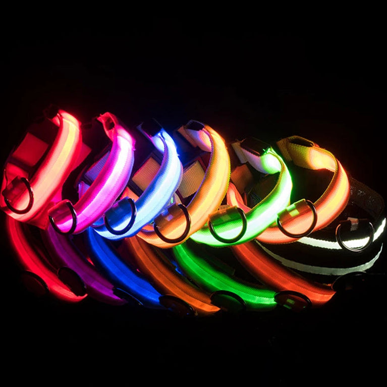 Assorted LED light-up dog collars in multiple colors displayed on black background, Pawvero