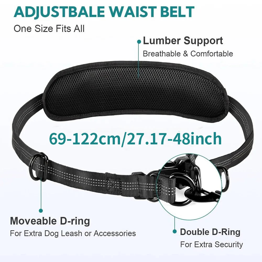 Adjustable dog waist belt with lumbar support, moveable D-ring, and double D-ring, Pawvero.