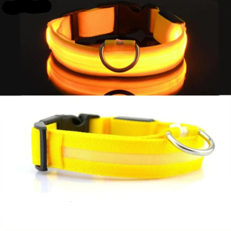 Yellow LED dog collar with USB charging cable, Pawvero pet safety accessory