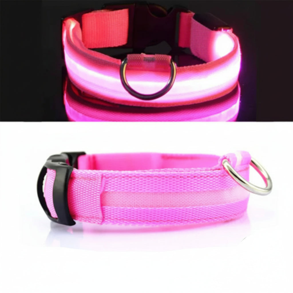 Pink LED dog collar with USB charging cable from Pawvero, glowing and reflective.