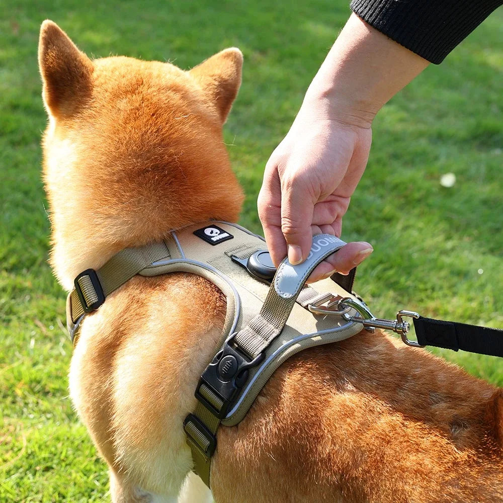 No-Pull Dog Harness & Leash Set