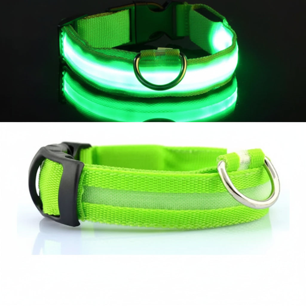 Green LED dog collar with USB charging cable, Pawvero pet safety accessory