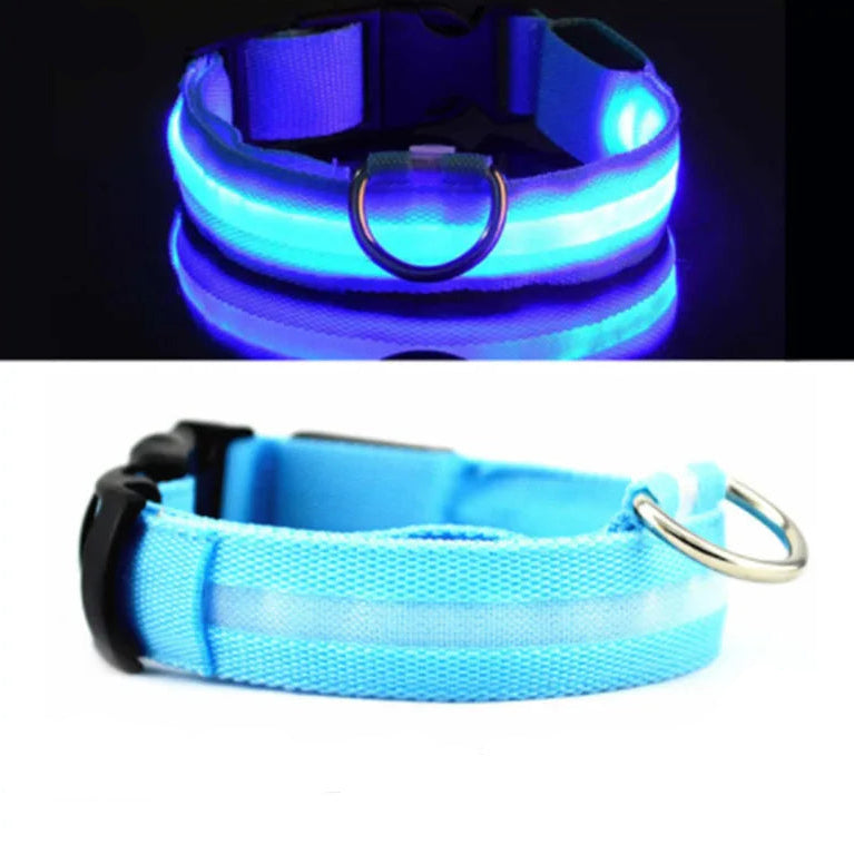 Blue USB rechargeable LED pet collar with metal ring from Pawvero