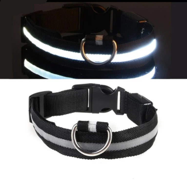 Black LED dog collar with reflective stripe, USB charging cable, Pawvero pet accessory