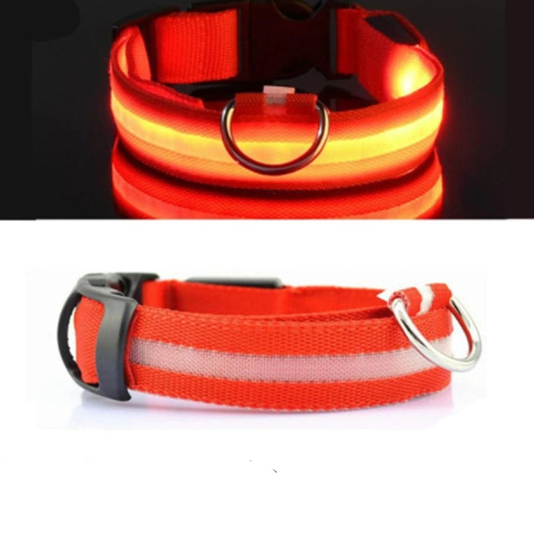 Red LED dog collar with USB charging cable, reflective safety pet accessory from Pawvero.