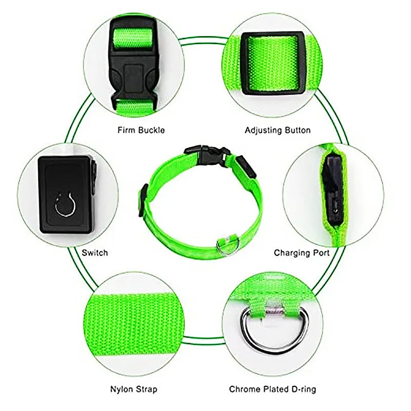 Pawvero green LED nylon dog collar with buckle, chrome D-ring, switch, and charging port features