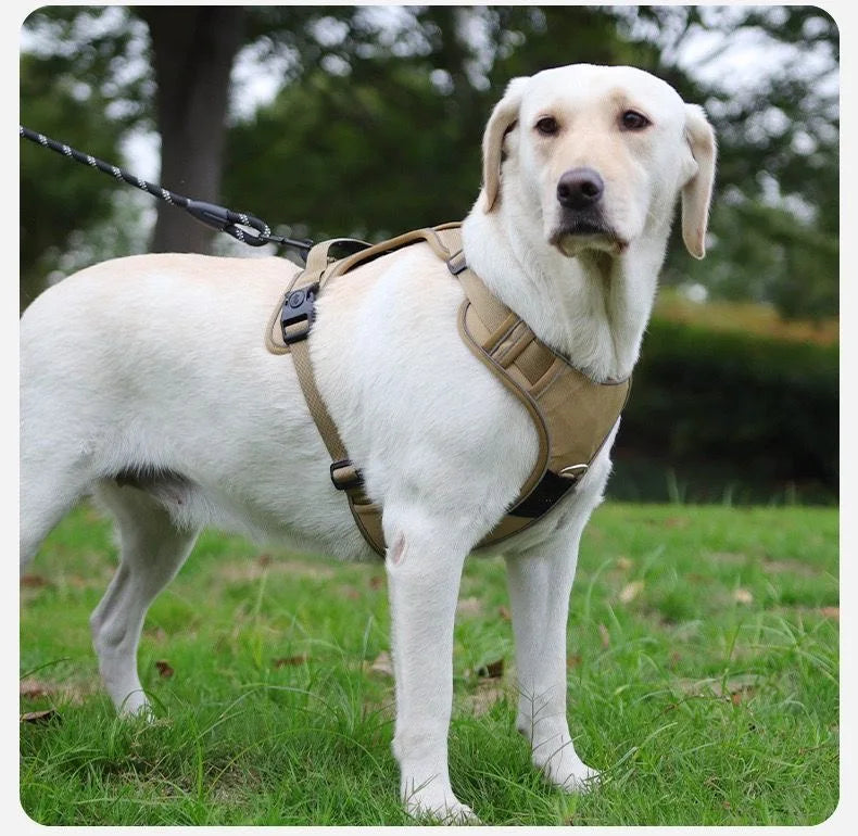 No-Pull Dog Harness & Leash Set