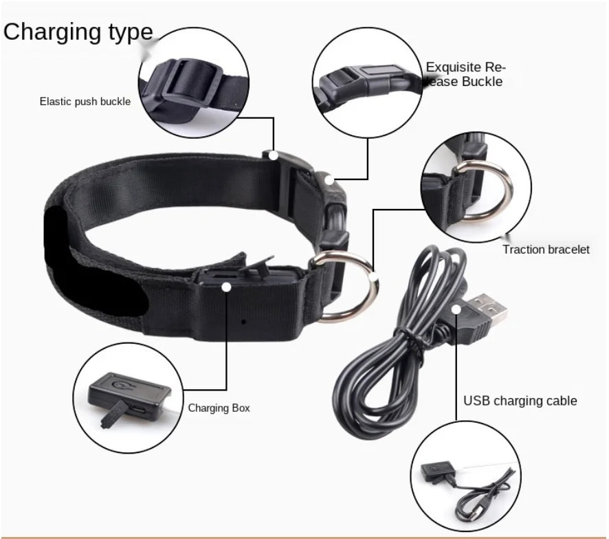 Pawvero black dog collar set with USB charging cable, elastic buckle, and charging box