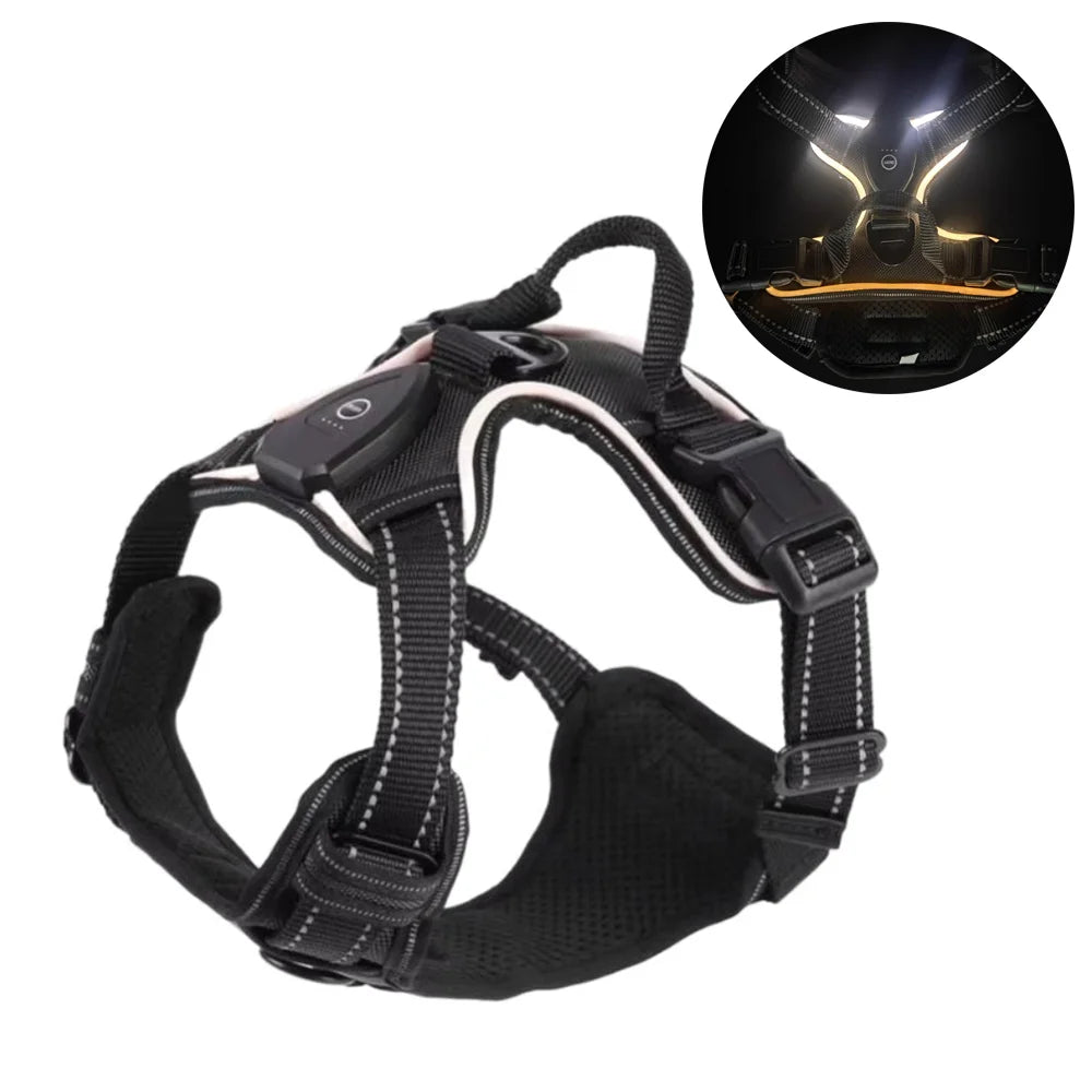 Pawvero black reflective dog harness with LED lights, adjustable and shown in daylight and night view
