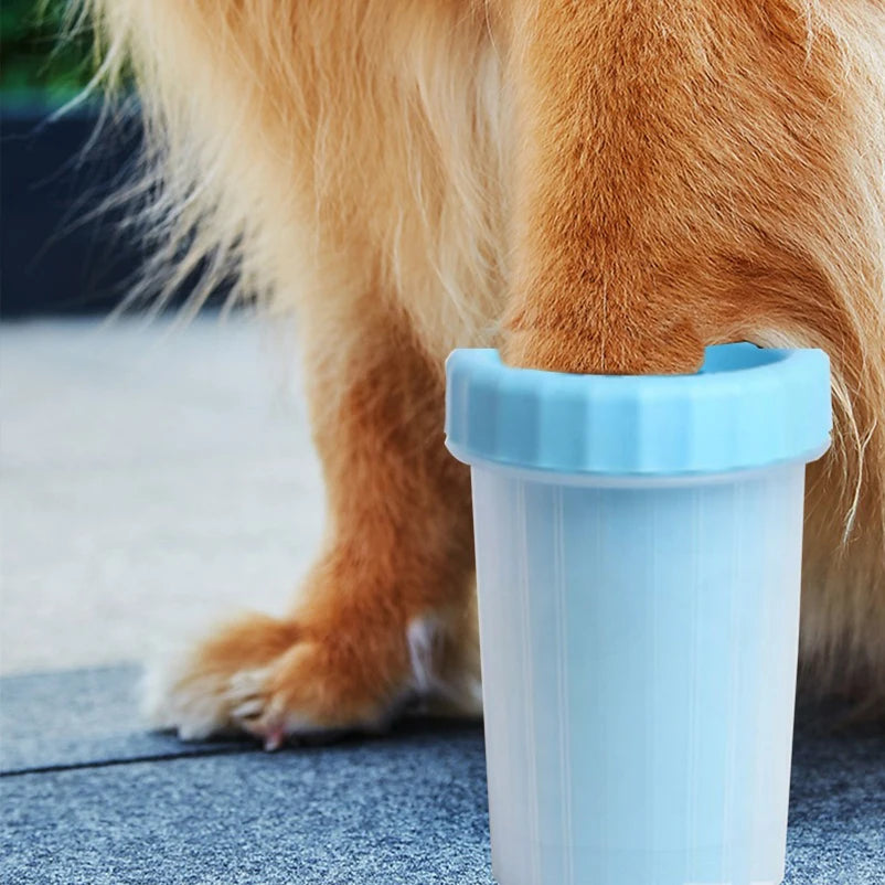 Dog paw in blue pet paw cleaner cup, outdoor setting, Pawvero pet care product