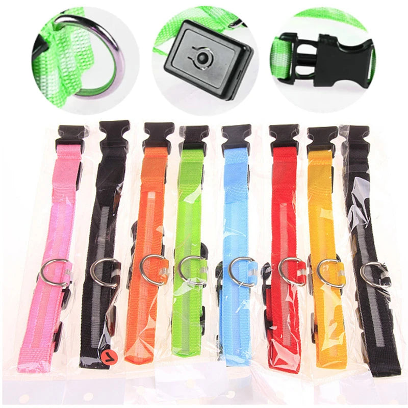 Colorful Pawvero adjustable pet collars with buckles and D-rings in assorted colors