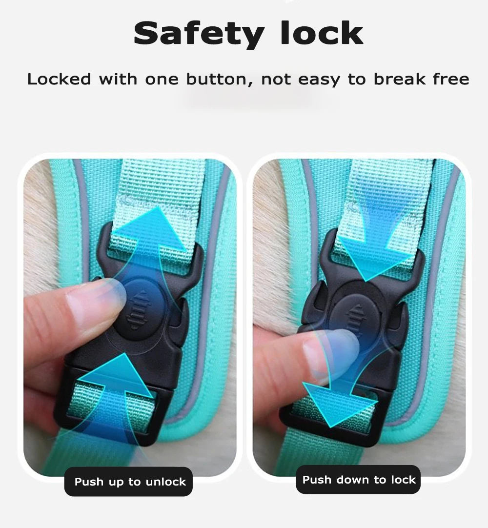 No-Pull Dog Harness & Leash Set