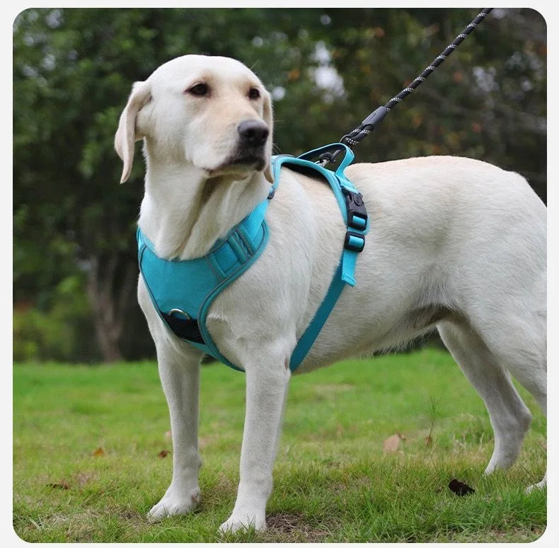No-Pull Dog Harness & Leash Set