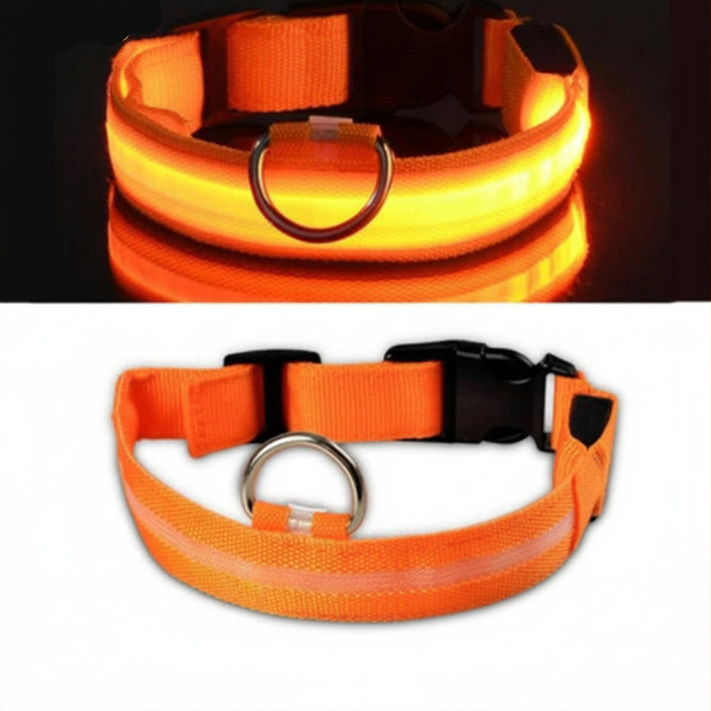 Orange LED dog collar with USB charging cable, Pawvero pet safety accessory