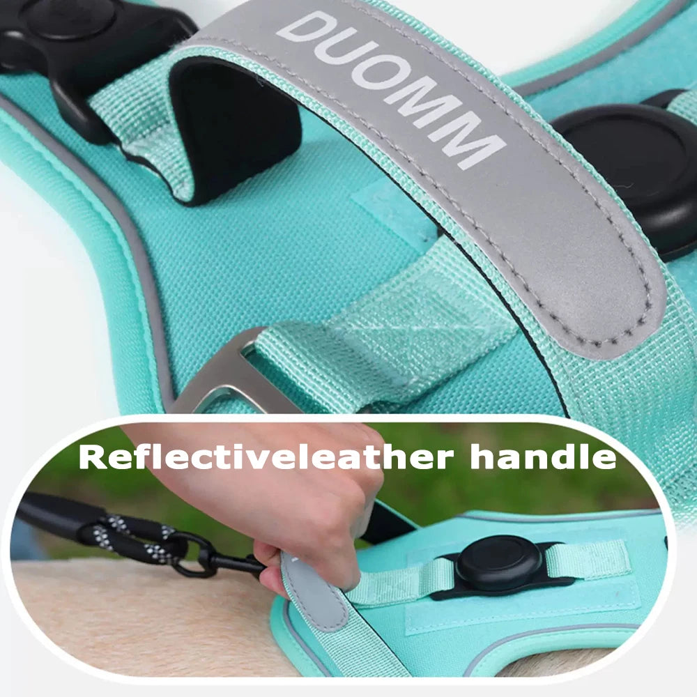 No-Pull Dog Harness & Leash Set