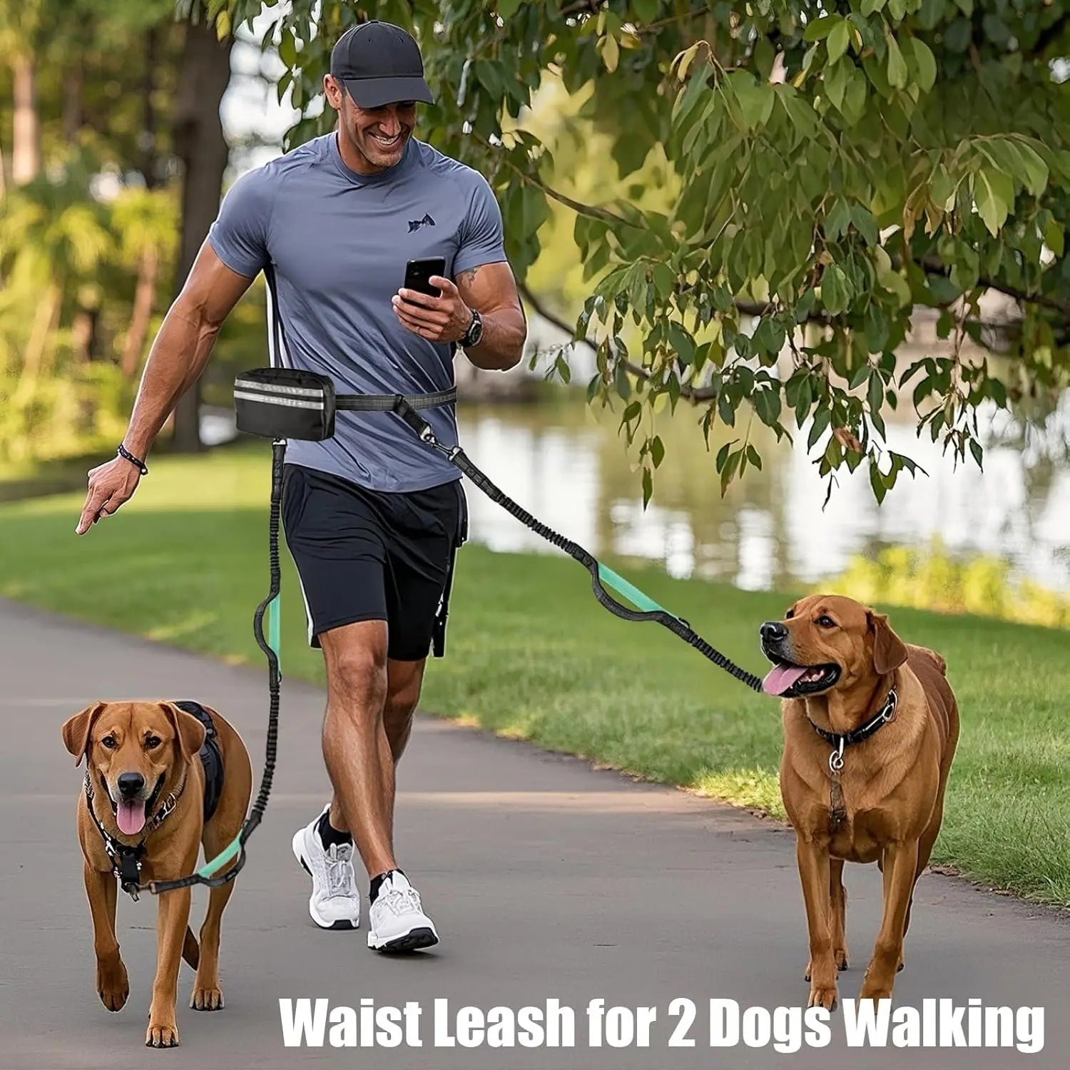 Man walking two brown dogs with Pawvero waist leash on a park path